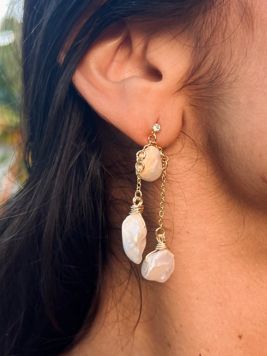 Antártica Earrings