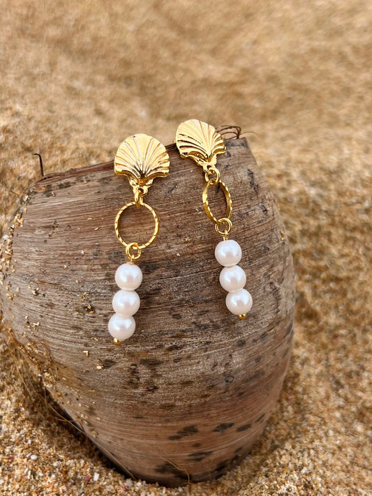 Shell Pearl Earrings