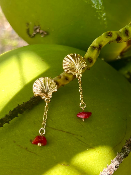 Rojocoral Seashell Earrings