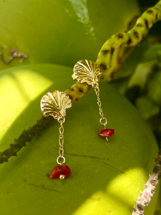 Rojocoral Seashell Earrings