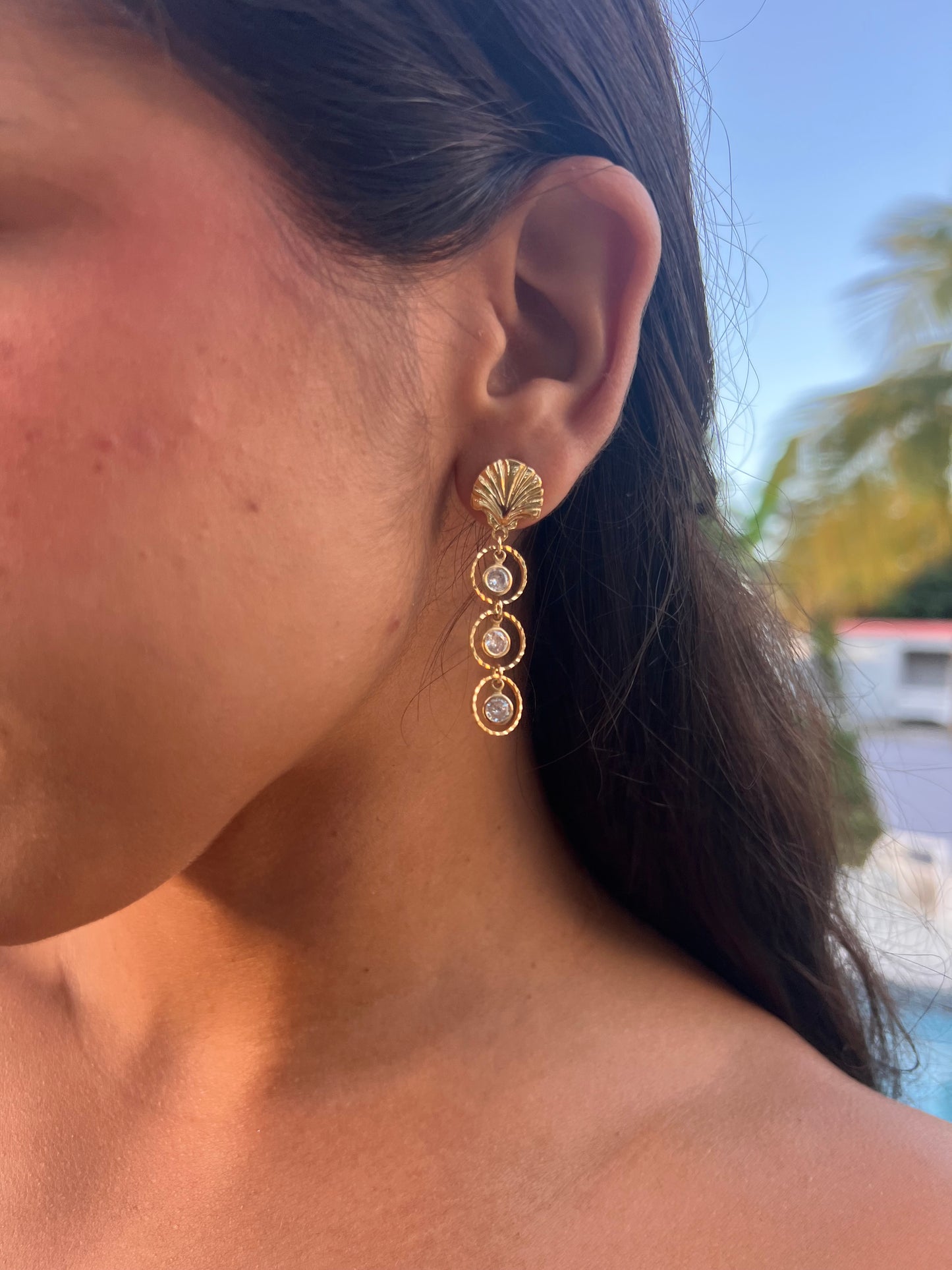 Brillantes Earrings