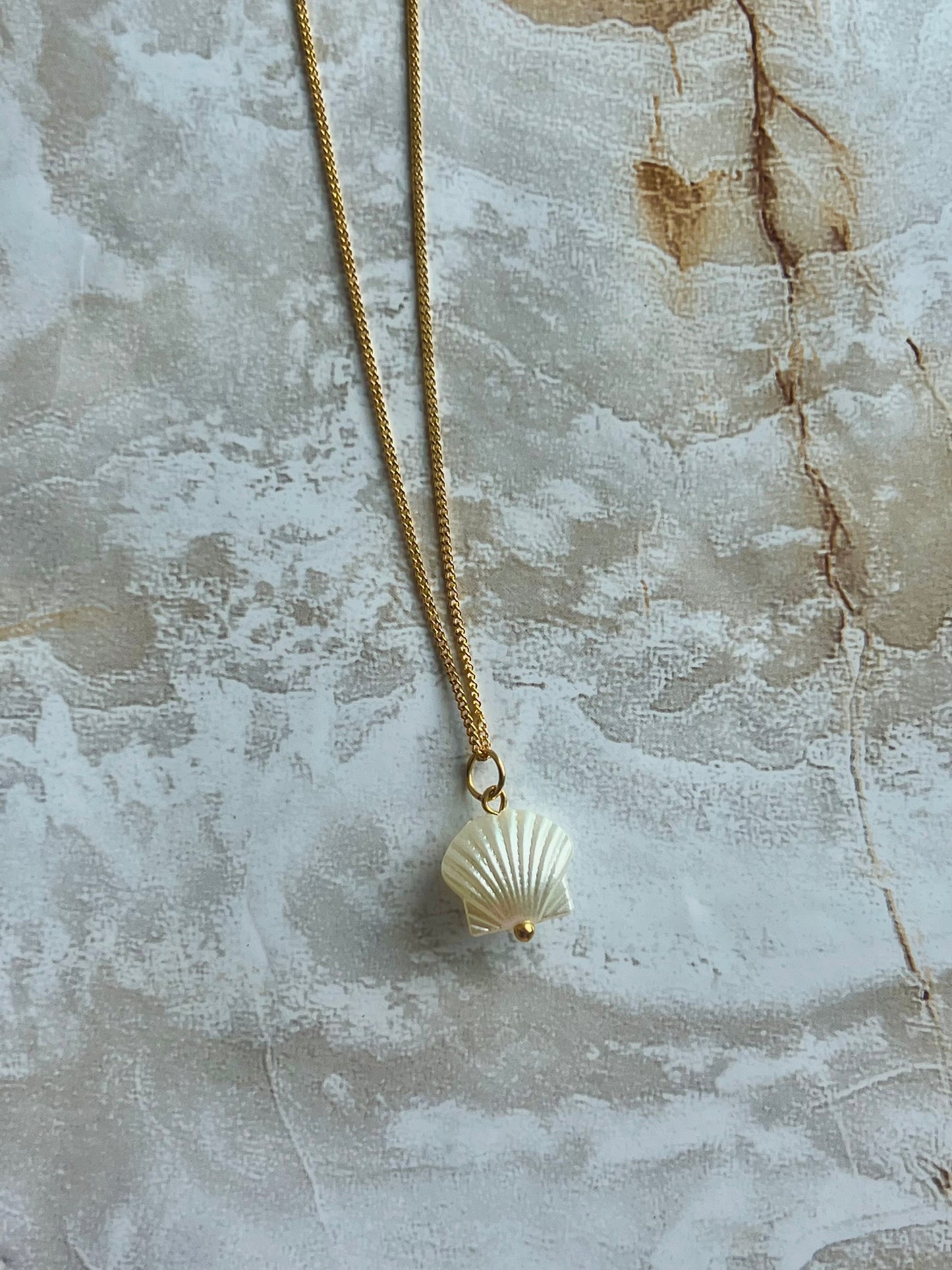 White Seashell Necklace