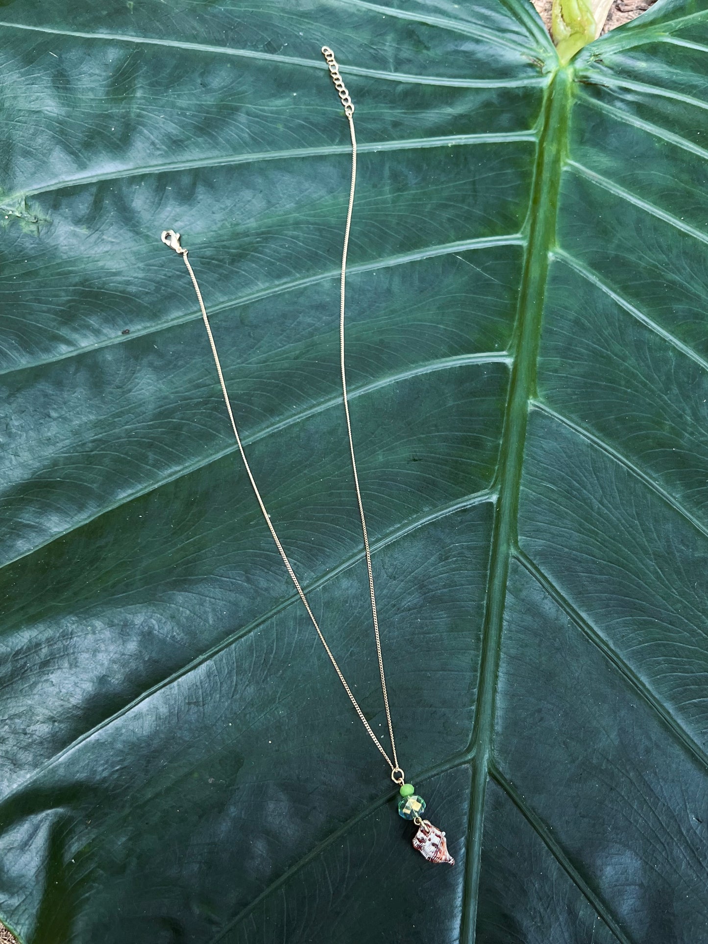 Concha del Mar Necklace