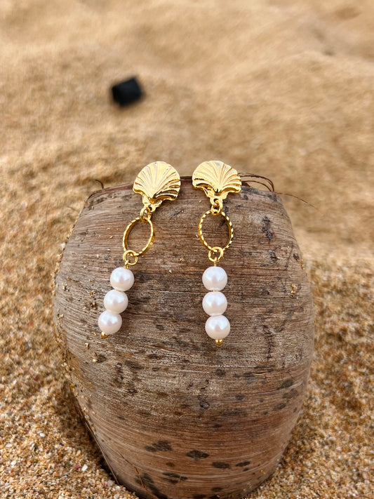 Shell Pearl Earrings