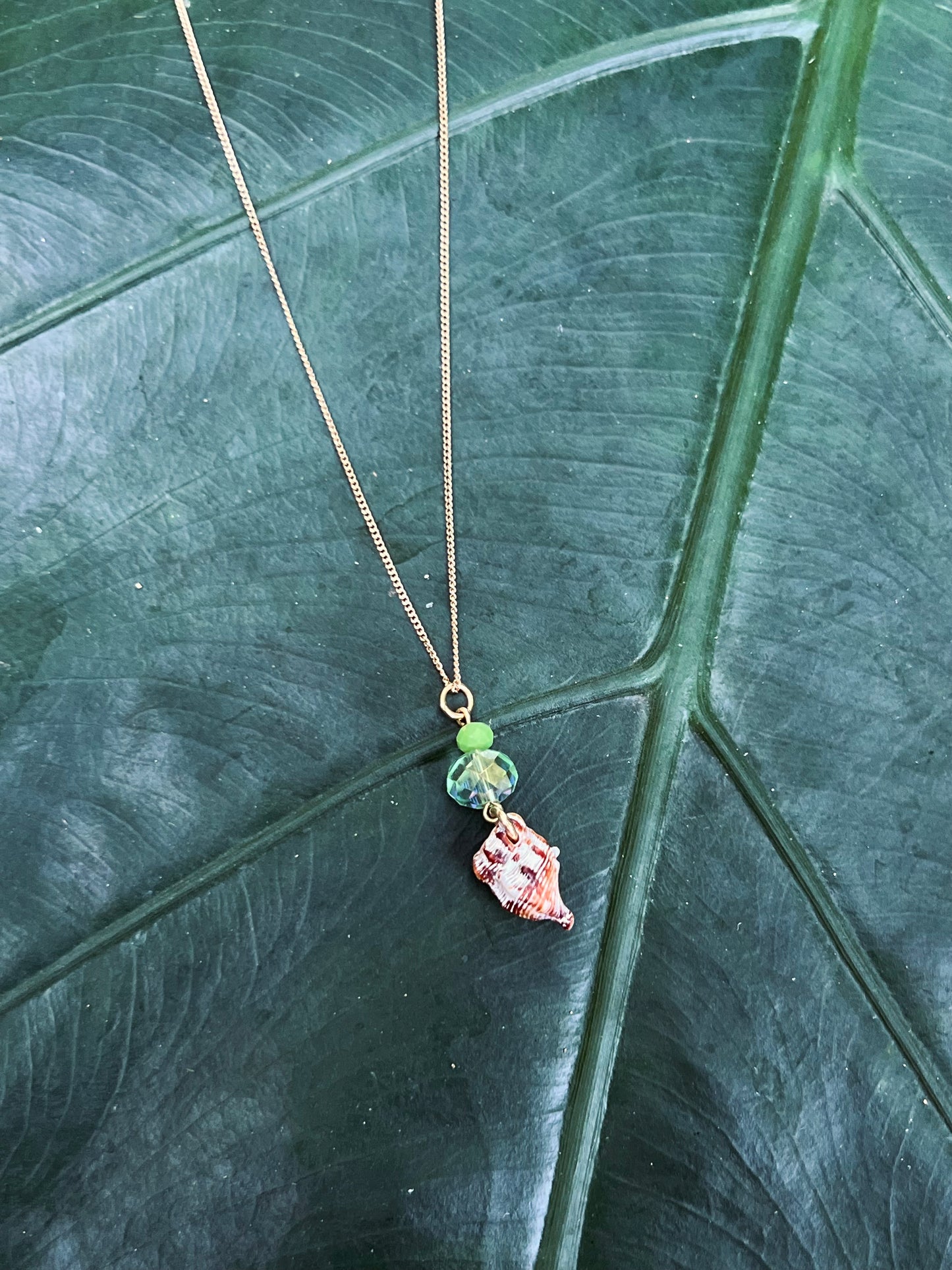 Concha del Mar Necklace