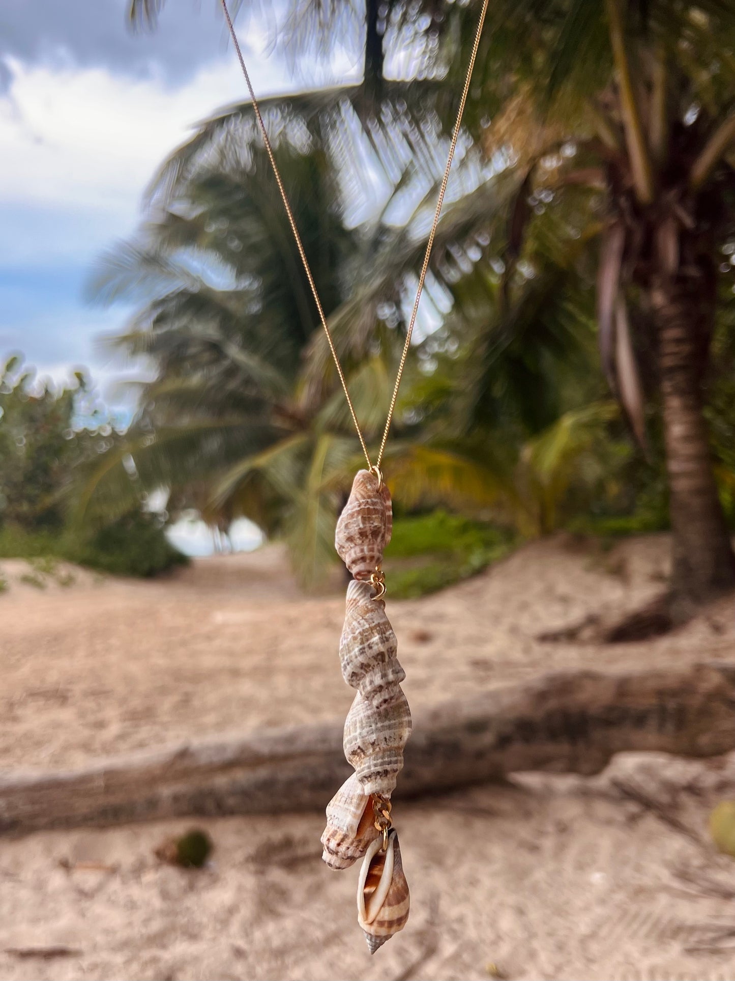 Playa de Conchas Necklace